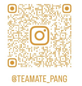 Ein goldener Instagram-QR-Code mit dem Instagram-Logo in der Mitte und dem Handle @TEAMATE_PANG darunter.