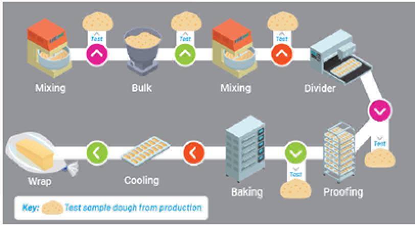 Ein Flussdiagramm der Brotherstellung zeigt die folgenden Schritte: Mischen, Masse, Mischen, Teilen, Gären, Backen, Kühlen und Verpacken. In mehreren Schritten werden Testproben entnommen. Die Legende zeigt die Testprobenteigprobe aus der Produktion.