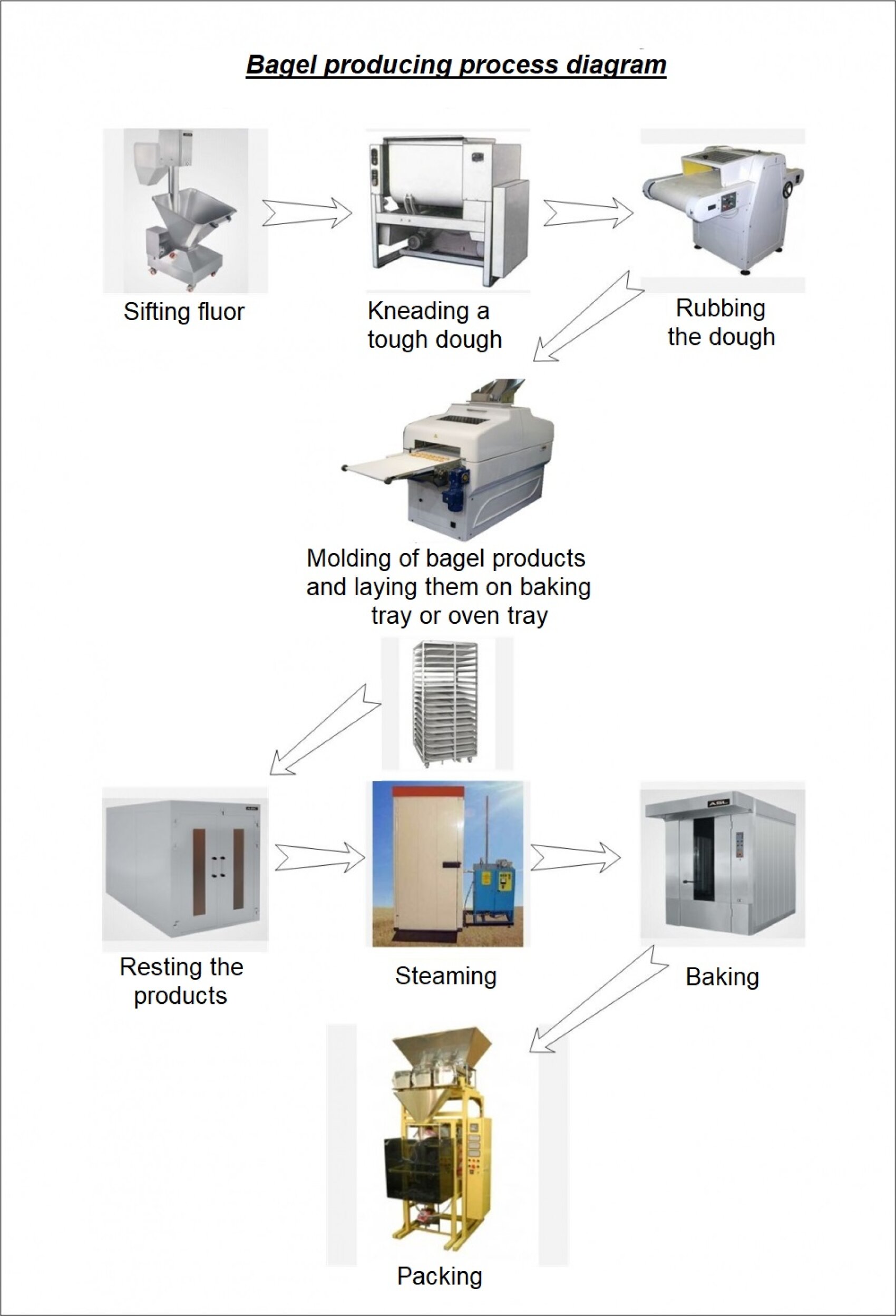 Bagel producing process diagram.jpg (0.2 MB)